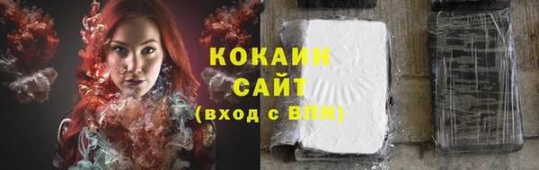 твердый Корсаков