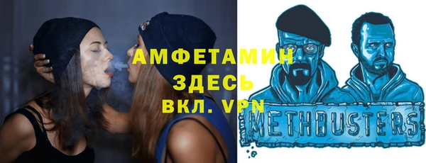 шишки Коряжма