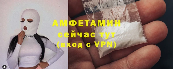 шишки Коряжма