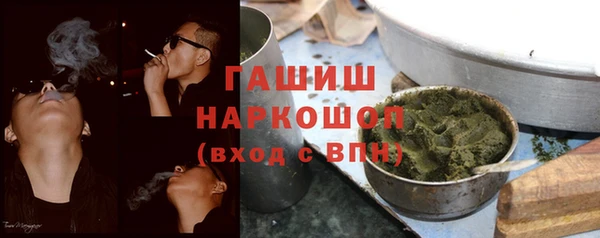шишки Коряжма