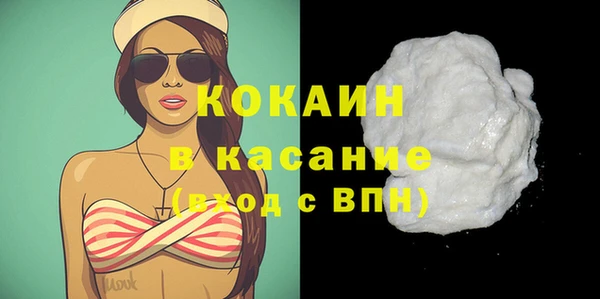шишки Коряжма