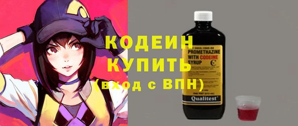 шишки Коряжма