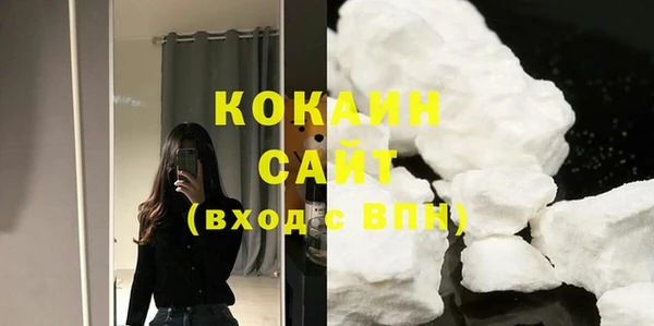 шишки Коряжма