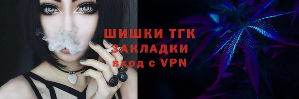 твердый Корсаков