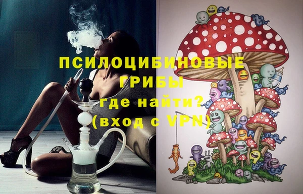 шишки Коряжма
