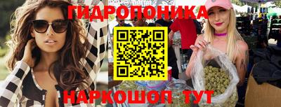 spice Краснознаменск