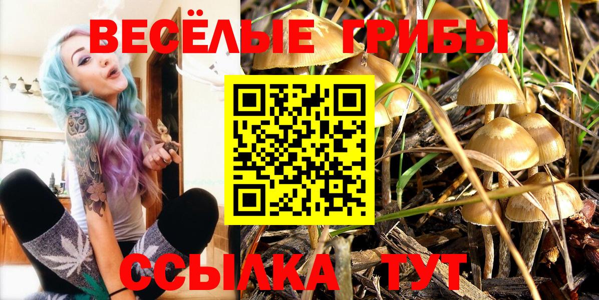 Псилоцибиновые грибы MAGIC MUSHROOMS Чапаевск