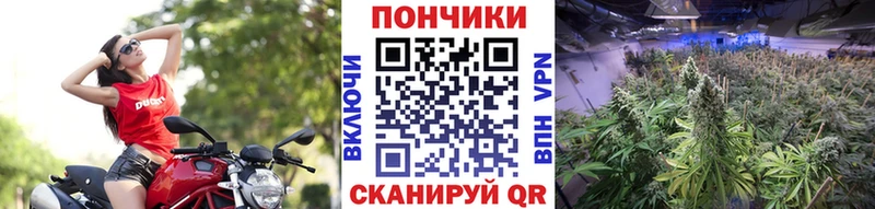 Каннабис планчик  ссылка на мегу ONION  Чапаевск 
